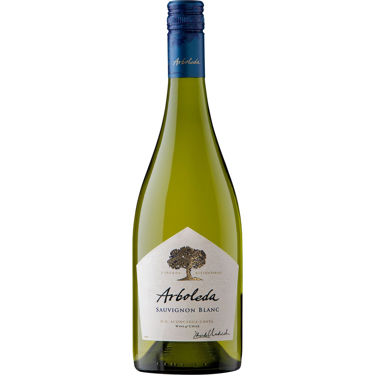 Arboleda Sauvignon Blanc