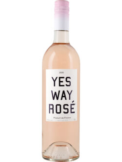 Yes Way Rose
