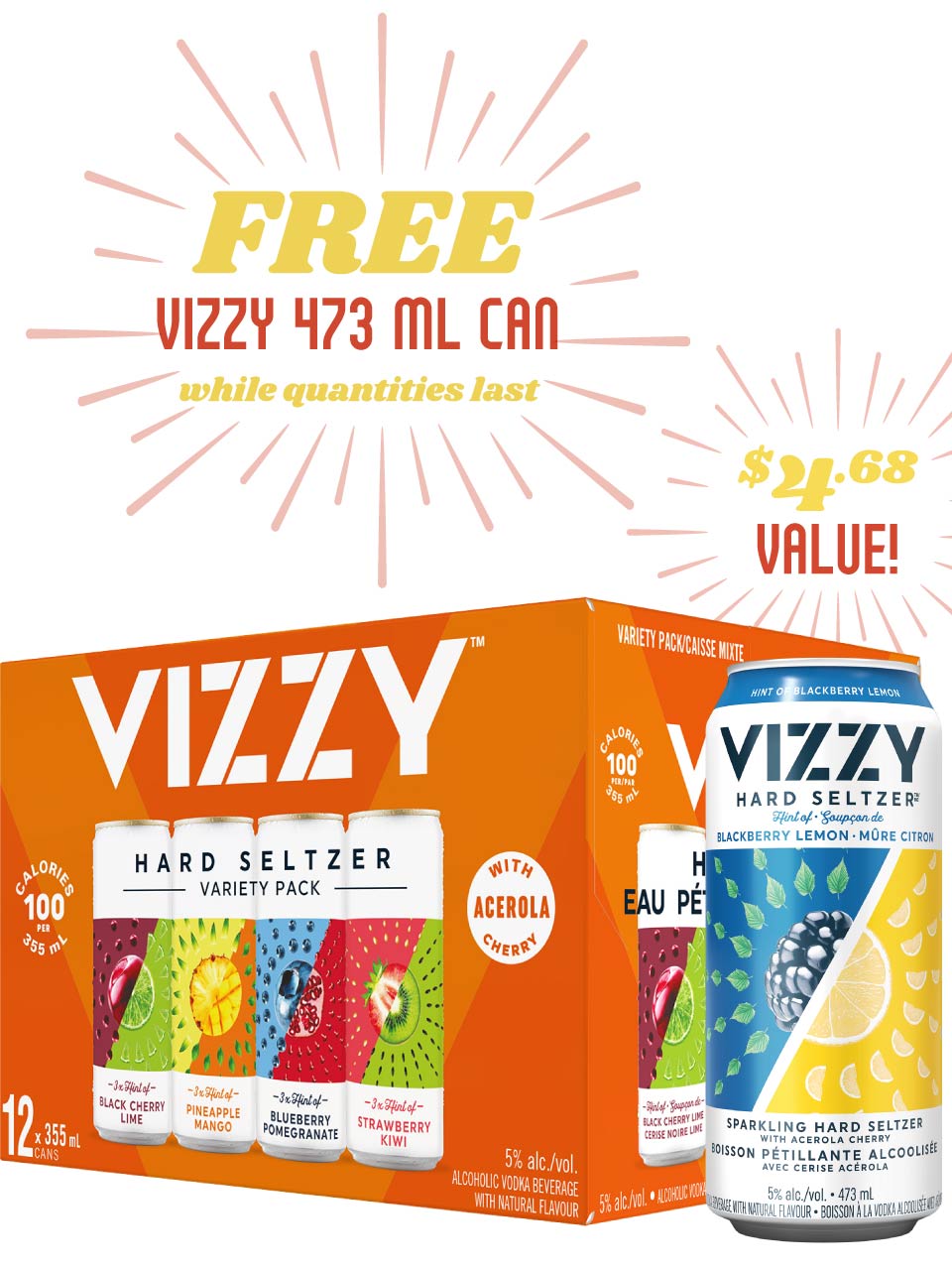 Vizzy Hard Seltzer Variety 12 Pack Cans