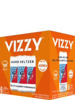 Vizzy Hard Seltzer Blueberry Pomegranate 6pk Cans