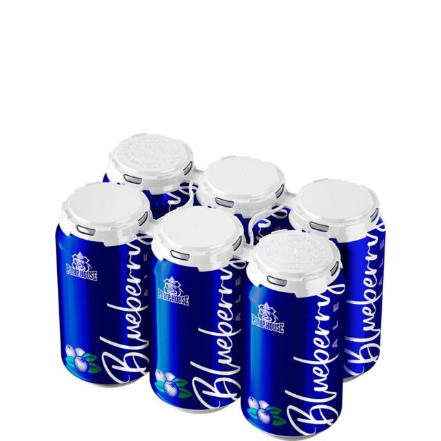 Pump House Blueberry Ale 6 Pack Cans